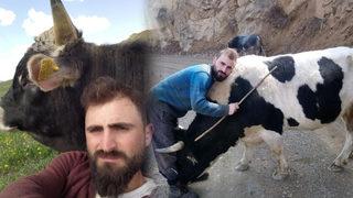 Sosyal medya bu görüntüleri konuşuyor! Boğasıyla kurduğu iletişim şaşırttı