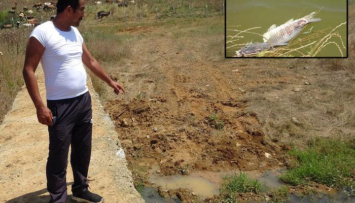 Korkutan iddia: Ömerli Barajı'nda ölen balıklar iş makinesiyle toprağa gömüldü
