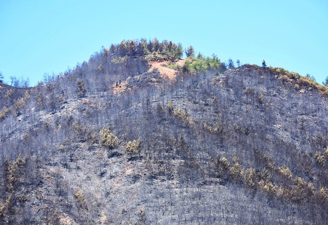 Marmaris'teki orman yangının boyutu g&uuml;n ağarınca ortaya &ccedil;ıktı