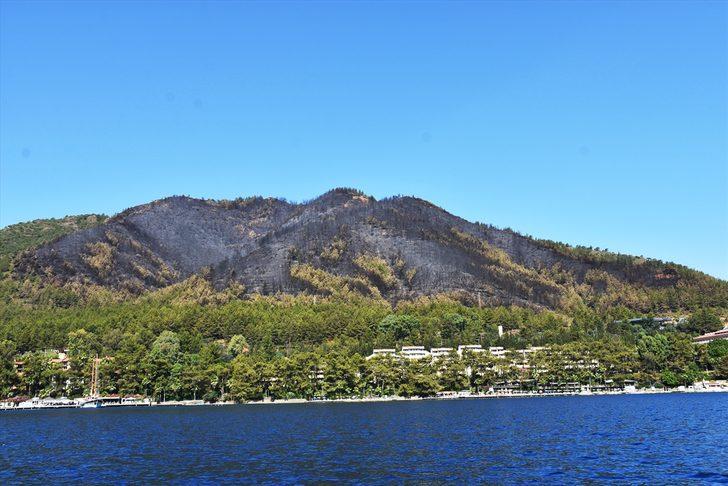 Marmaris'teki orman yangının boyutu gün ağarınca ortaya çıktı G1