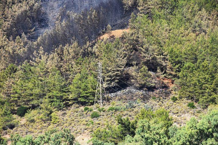 Marmaris'teki orman yangının boyutu gün ağarınca ortaya çıktı G2