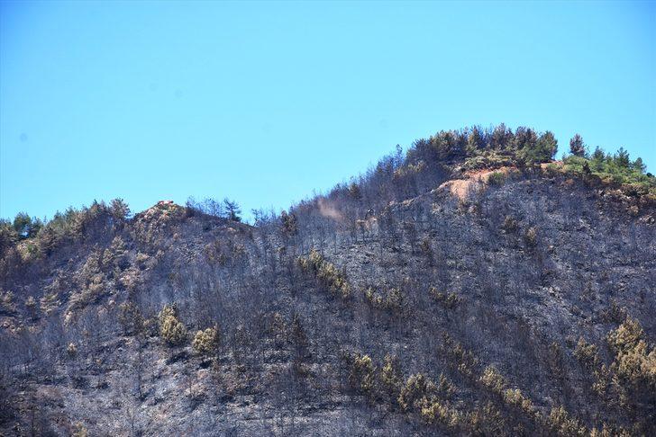 Marmaris'teki orman yangının boyutu gün ağarınca ortaya çıktı G4