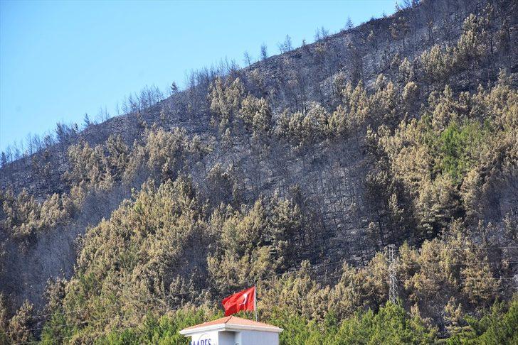 Marmaris'teki orman yangının boyutu gün ağarınca ortaya çıktı G5