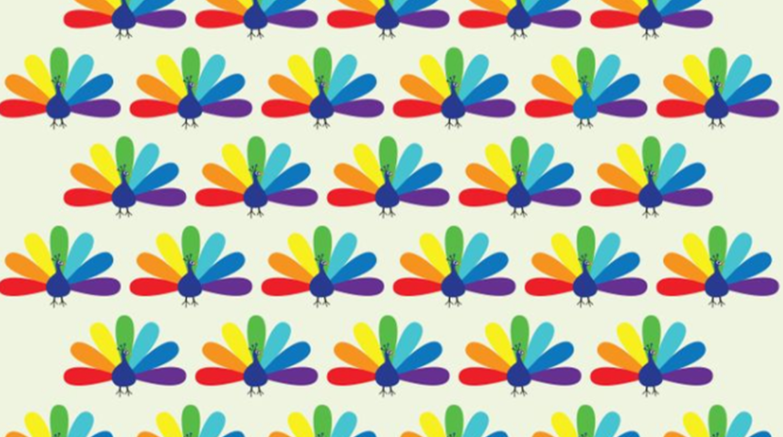 Gözlerinize egzersiz yaptırın! Farklı olan tavus kuşunu görebilecek misiniz?