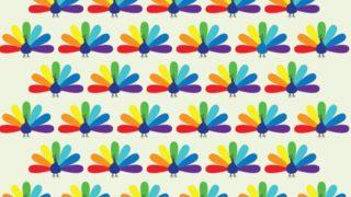 Gözlerinize egzersiz yaptırın! Farklı olan tavus kuşunu görebilecek misiniz?