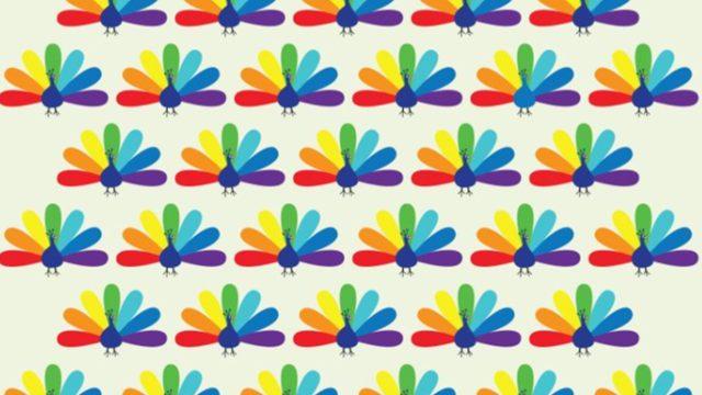 Gözlerinize egzersiz yaptırın! Farklı olan tavus kuşunu görebilecek misiniz?