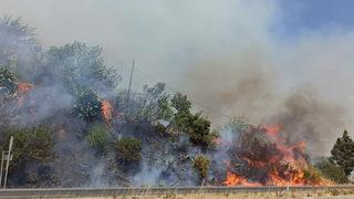 Son Dakika: Muğla Ula'da orman yangını! Kara yolu ulaşıma kapatıldı, evler tahliye ediliyor