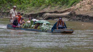 Geçilmesi neredeyse imkansız! Vahşi hayvanlar ve gasp çeteleriyle dünyanın en tehlikeli lokasyonu: Darien Geçidi