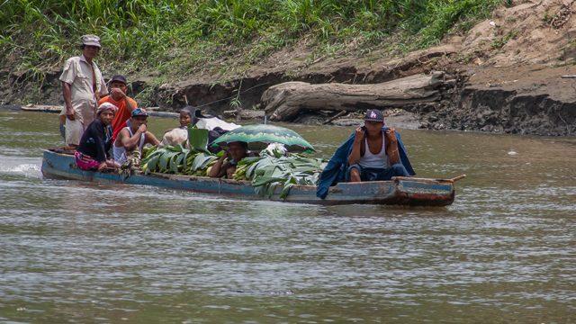 Geçilmesi neredeyse imkansız! Vahşi hayvanlar ve gasp çeteleriyle dünyanın en tehlikeli lokasyonu: Darien Geçidi