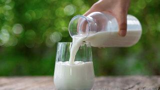 Hastalık tedavisinde kullanılan eşek sütüne koronavirüs nedeniyle talep azaldı