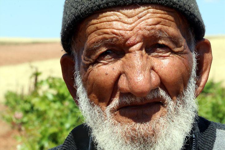 Gençlere miras bırakmak için uğraşıyor! 35 yılda 40 bin fidanı toprakla buluşturdu G2