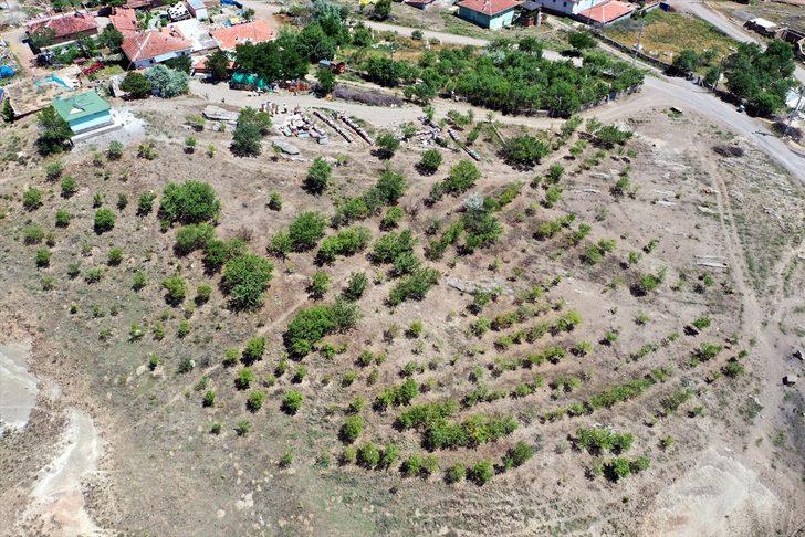 Gençlere miras bırakmak için uğraşıyor! 35 yılda 40 bin fidanı toprakla buluşturdu G3