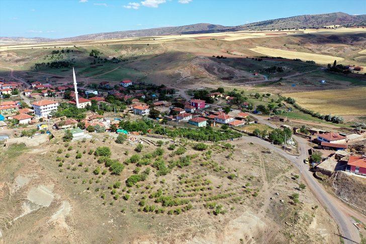 Gençlere miras bırakmak için uğraşıyor! 35 yılda 40 bin fidanı toprakla buluşturdu G5