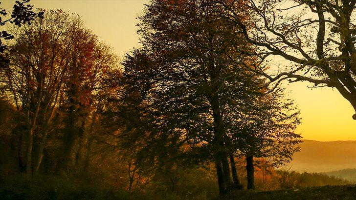 OGM kura sonuçları açıklandı mı? 2021 OGM kura sonuçları sorgulama G2