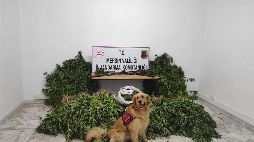 Mersin'de uyuşturucu operasyonu: 7 gözaltı