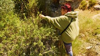 Dünyanın ihtiyacının yüzde 80'inini Türkiye karşılıyor!