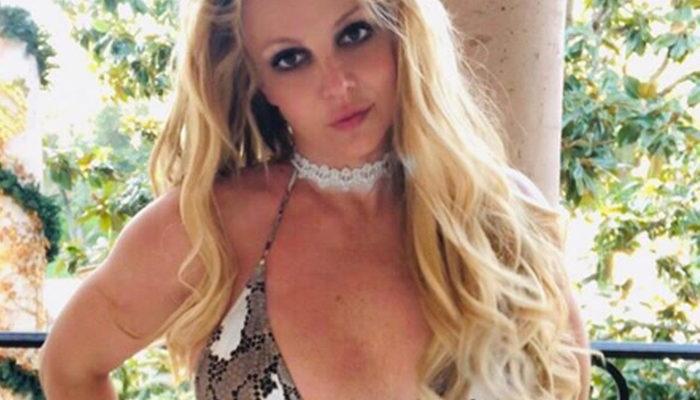 Britney Spears'ın vasilik davasında avukatlar ikiye bölündü
