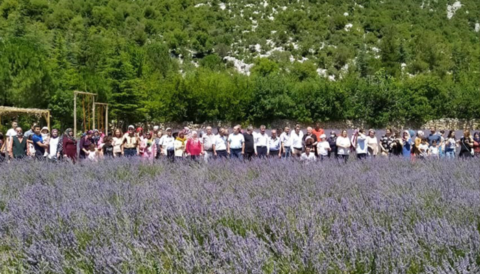 Lavanta bahçelerine ziyaretçi akını! Günde 400 turisti ağırlıyor