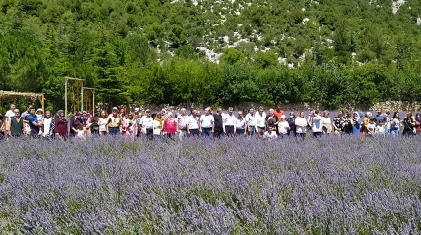 Lavanta bahçelerine ziyaretçi akını! Günde 400 turisti ağırlıyor