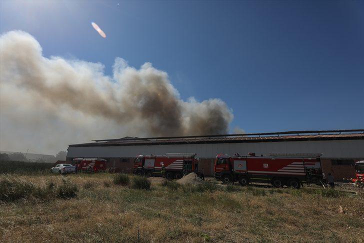 GÜNCELLEME - İzmir'de plastik atıkların depolandığı alanda yangın çıktı G5