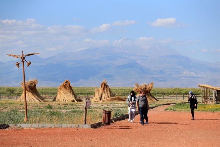 Kayseri'de bozkırın ortasındaki yeşil cennet! Sultan Sazlığı'na ziyaretçi akını G1