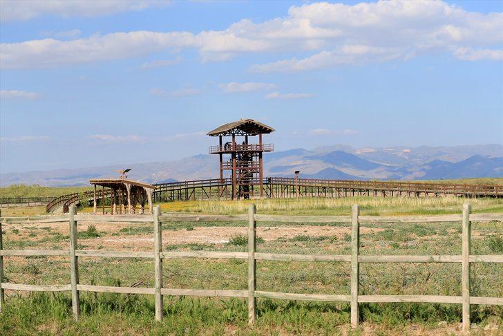 Kayseri'de bozkırın ortasındaki yeşil cennet! Sultan Sazlığı'na ziyaretçi akını G3