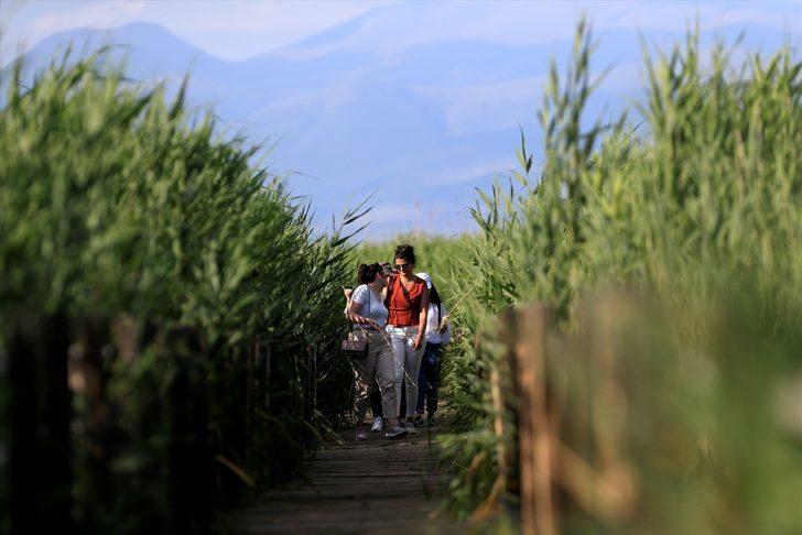 Kayseri'de bozkırın ortasındaki yeşil cennet! Sultan Sazlığı'na ziyaretçi akını G5
