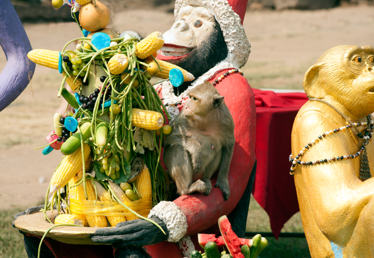 İlginç festival! Tayland’ın Bangkok şehrindeki ‘Maymun Büfesi Festivali’ yoğun ilgiyle karşılanıyor