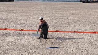 Deniz salyalı denizde yüzülebilir mi? Uzman isim açıkladı