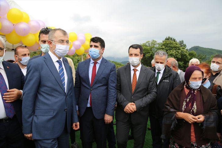 Artvin'de maviyemiş hasadı başladı G4