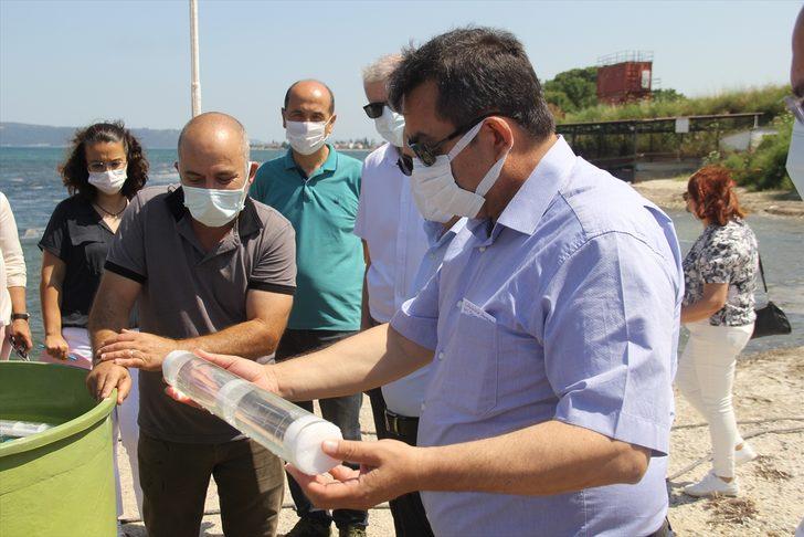 ÇOMÜ'nün yetiştirdiği ıstakoz yavruları denize bırakıldı G3