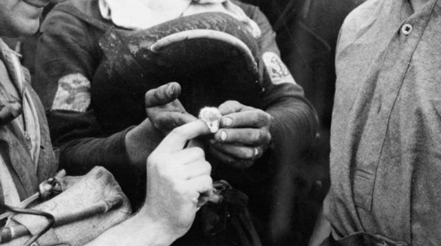 Savaşlarda cephenin maskotu olan 5 gazi hayvan