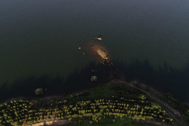 Yağışlar Trakya'daki barajları doldurdu G4