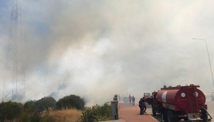 Antalya'da Zeytinpark'ta ormanlık ve çalılık alanda yangın