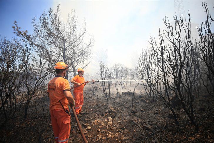 GÜNCELLEME - Antalya'da Zeytinpark'ta ormanlık ve çalılık alanda yangın çıktı G1