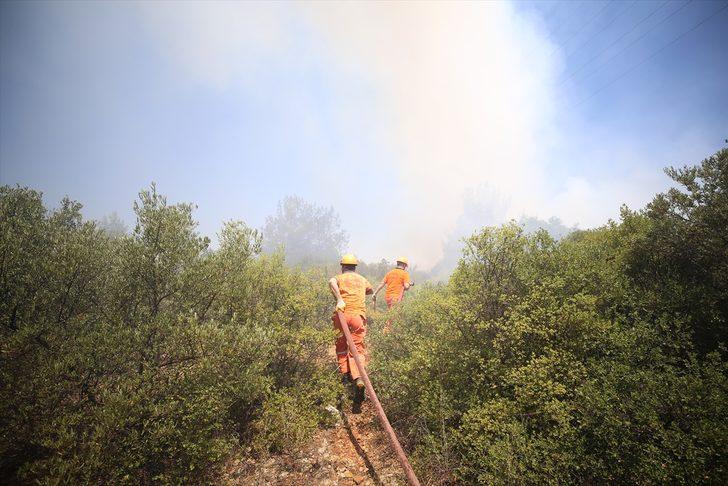 GÜNCELLEME - Antalya'da Zeytinpark'ta ormanlık ve çalılık alanda yangın çıktı G4