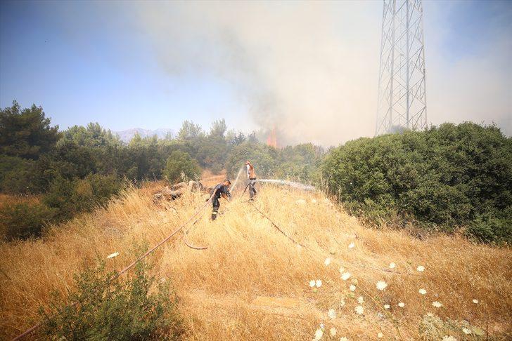 GÜNCELLEME - Antalya'da Zeytinpark'ta ormanlık ve çalılık alanda yangın çıktı G5