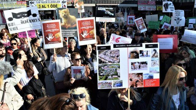 2018'de düzenlenen hayvan haklarının korunmasına yönelik protesto gösterisi