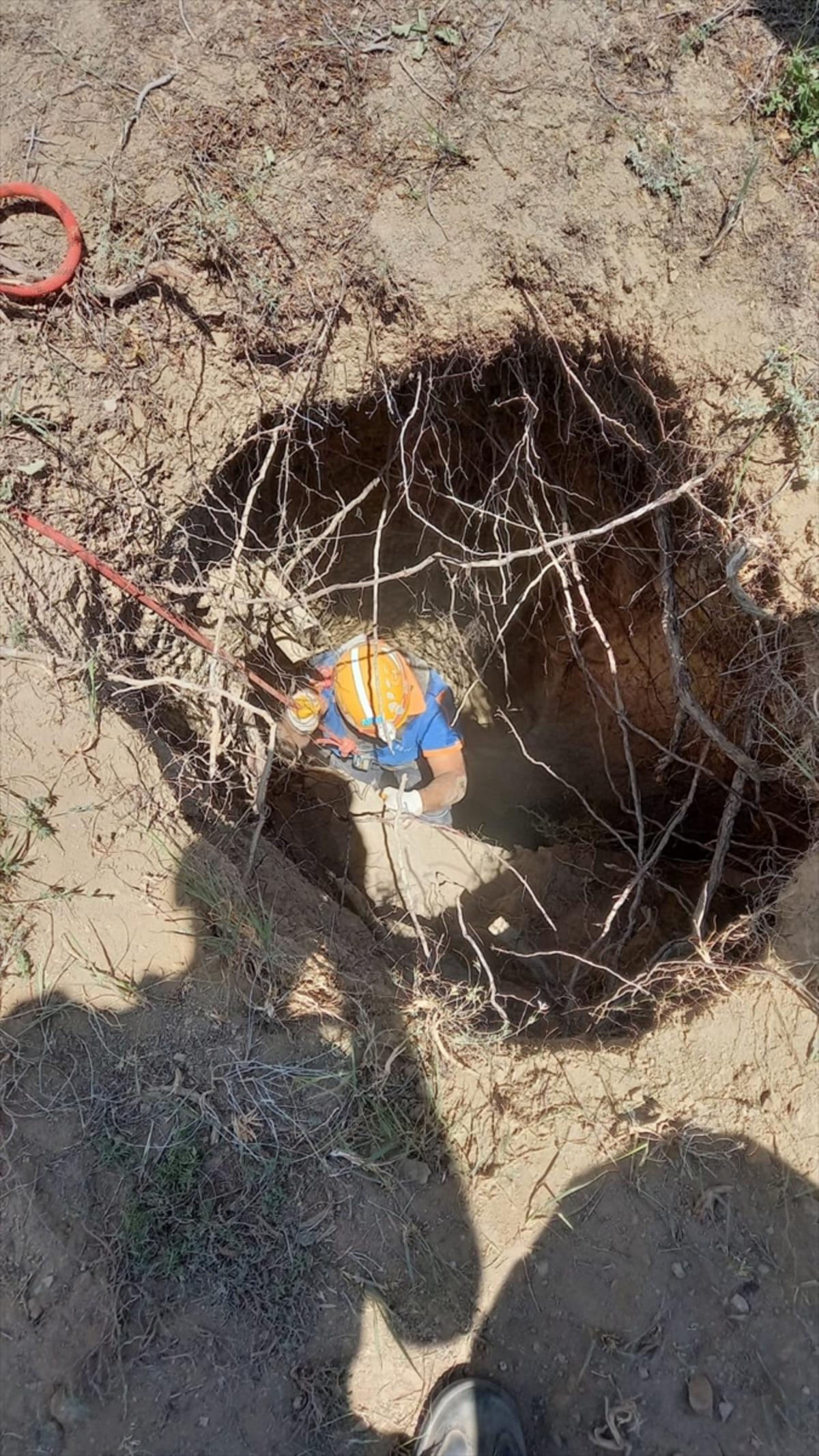 Sivas'ta kuyuya d&uuml;şen ke&ccedil;iler AFAD ekibince kurtarıldı