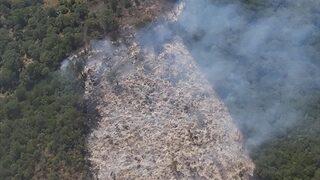 Balıkesir'de orman yangını kontrol altına alındı