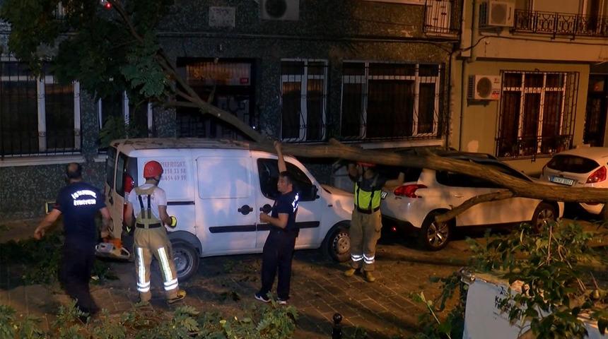 Beşiktaş'ta akılalmaz olay! Kökünden çıkan ağaç aracın üzerine devrildi