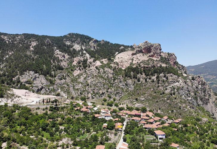 Kiraz hasadı başladı! Dalda 2, pazarda 15 TL G3