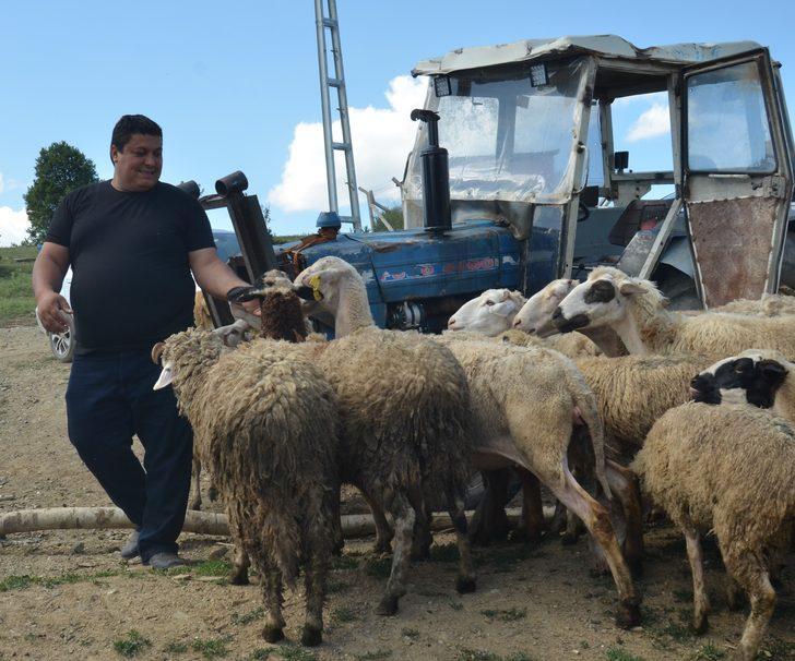 7 bin lira maaşı bıraktı, köyünde çobanlığa başladı: Oh be dünya varmış G1