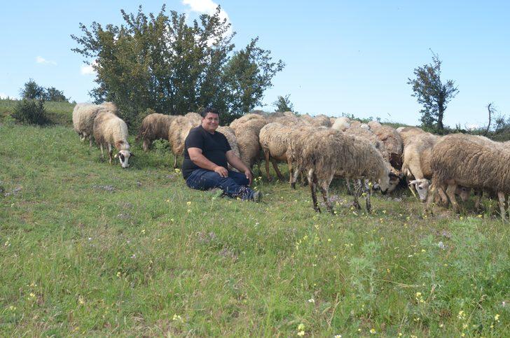 7 bin lira maaşı bıraktı, köyünde çobanlığa başladı: Oh be dünya varmış G4