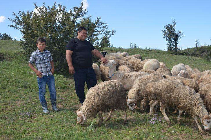 7 bin lira maaşı bıraktı, köyünde çobanlığa başladı: Oh be dünya varmış G5