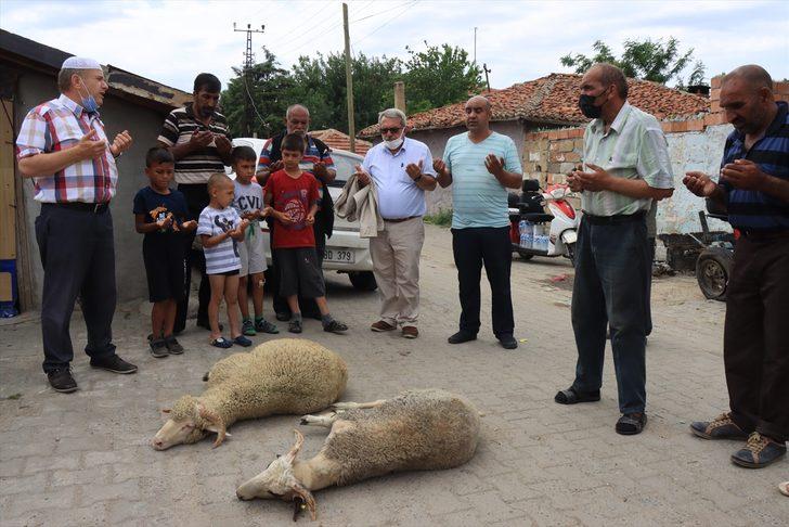 Kırklareli'nde imeceyle alınan küçükbaş hayvanların etleri, ihtiyaç sahiplerine dağıtıldı G2