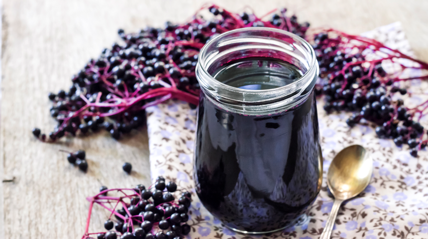 Kastamonu’da yeni adım! Vitamin deposu ‘mürver’ meyvesi yetiştirilecek