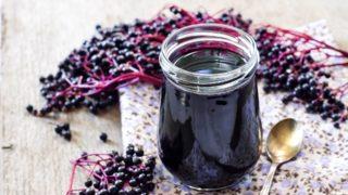 Kastamonu’da yeni adım! Vitamin deposu ‘mürver’ meyvesi yetiştirilecek