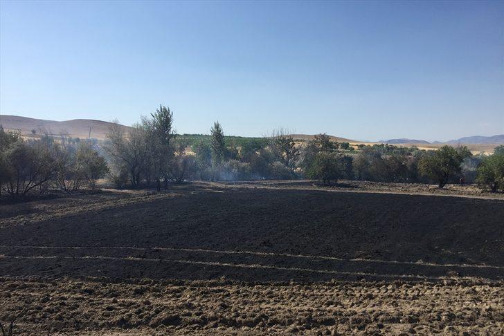 Elazığ'da yangın nedeniyle buğday tarlası, meyve ağaçları ve üzüm bağları zarar gördü G1