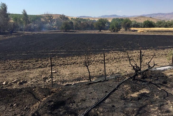 Elazığ'da yangın nedeniyle buğday tarlası, meyve ağaçları ve üzüm bağları zarar gördü G2